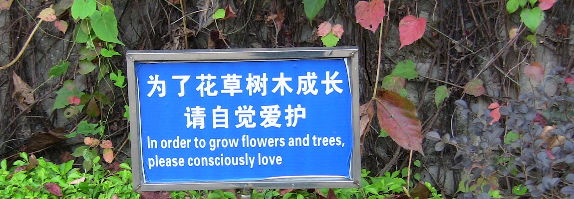 Love your plants and they will love you.