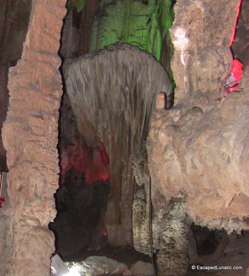 Beware of cave jellyfish