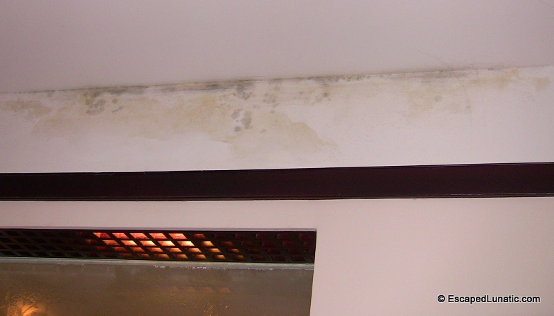 Too much mold and too little oxygen in our hotel room