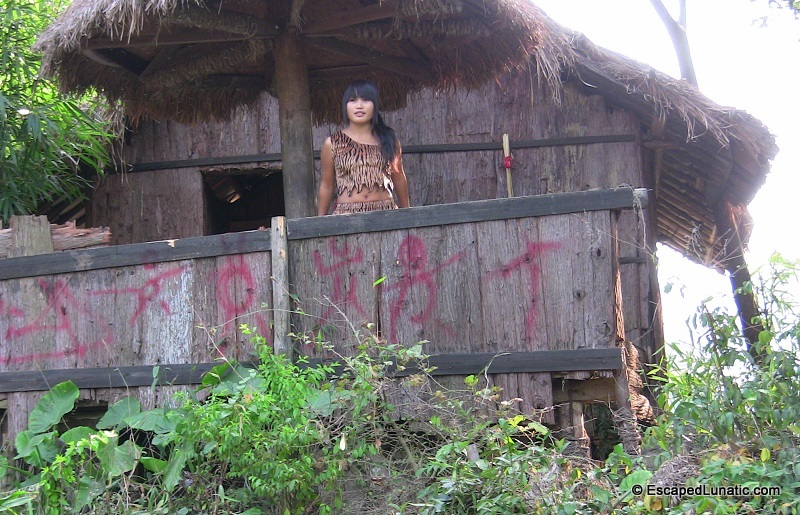 A pretty tiger girl in Shangri-La near Yanghuo