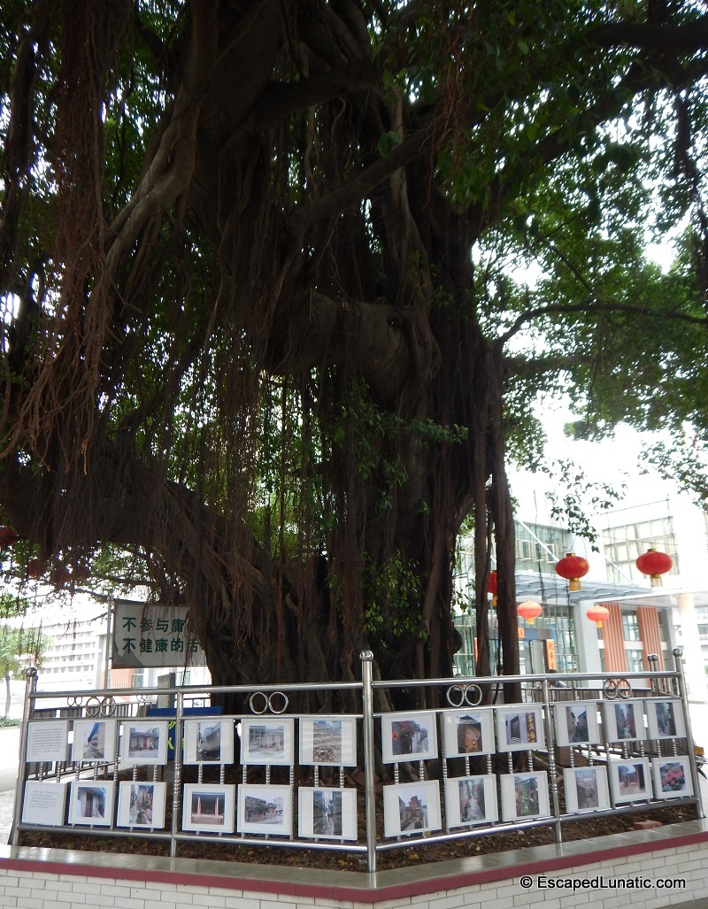 An art exhibit with pictures of my village's ancient buildings.