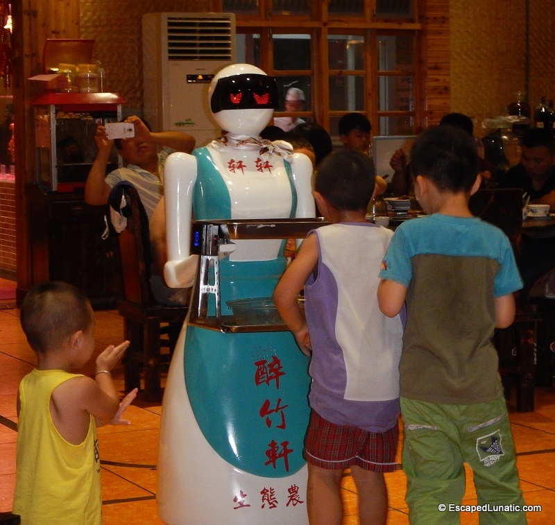 EXTERMINATE EXTERMINATE EXTERMINATE Robotic waitress being blocked by children. EXTERMINATE! EXTERMINATE!