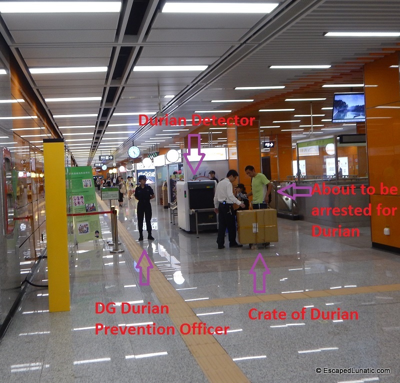 Keeping Dongguan's Subways Safe From Durian