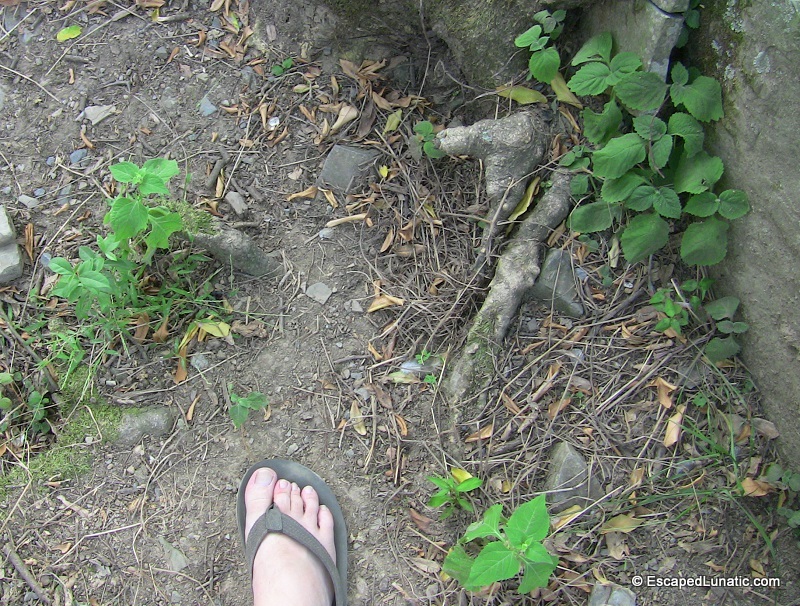 That's one small step for a Lunatic. One giant leap for all Lunatic-kind.