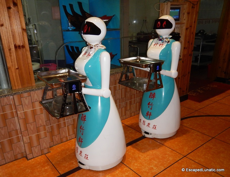 A little bit like Daleks, but prettier. :-) My first view of robowaitresses. Such lovely robogirls. ;-)