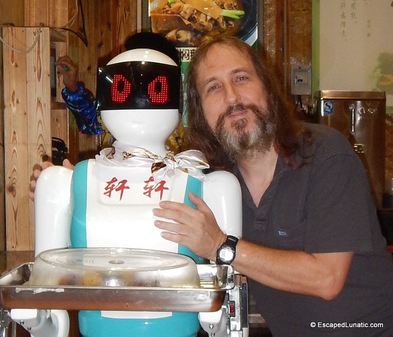 Remove that hand or I will EXTERMINATE you! This robotic waitress isn't yet able to slap botphiles like me.