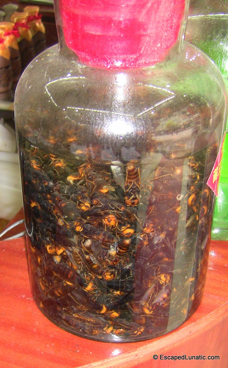 Cicada flavored baijiu - Eeek!