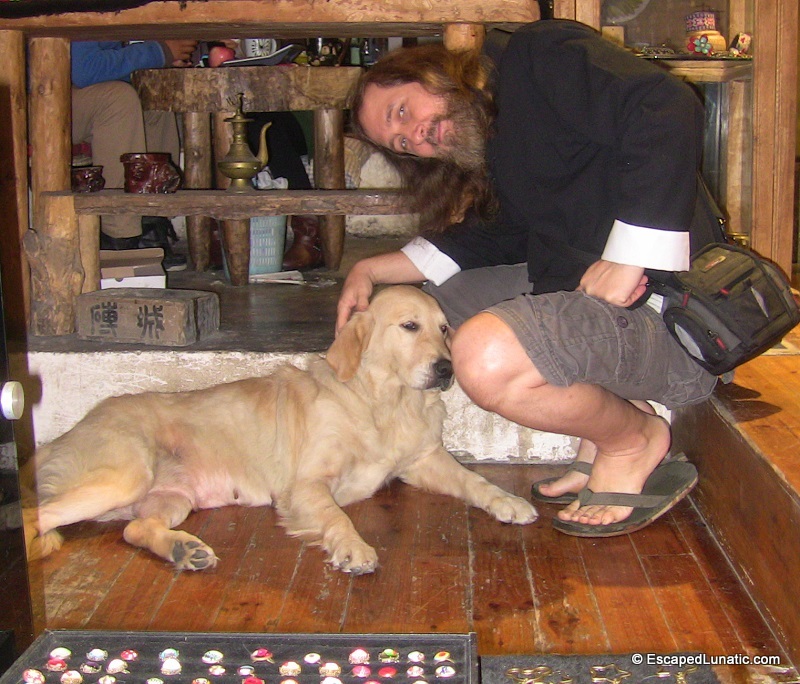 What a nice doggie! He needs to be petted!